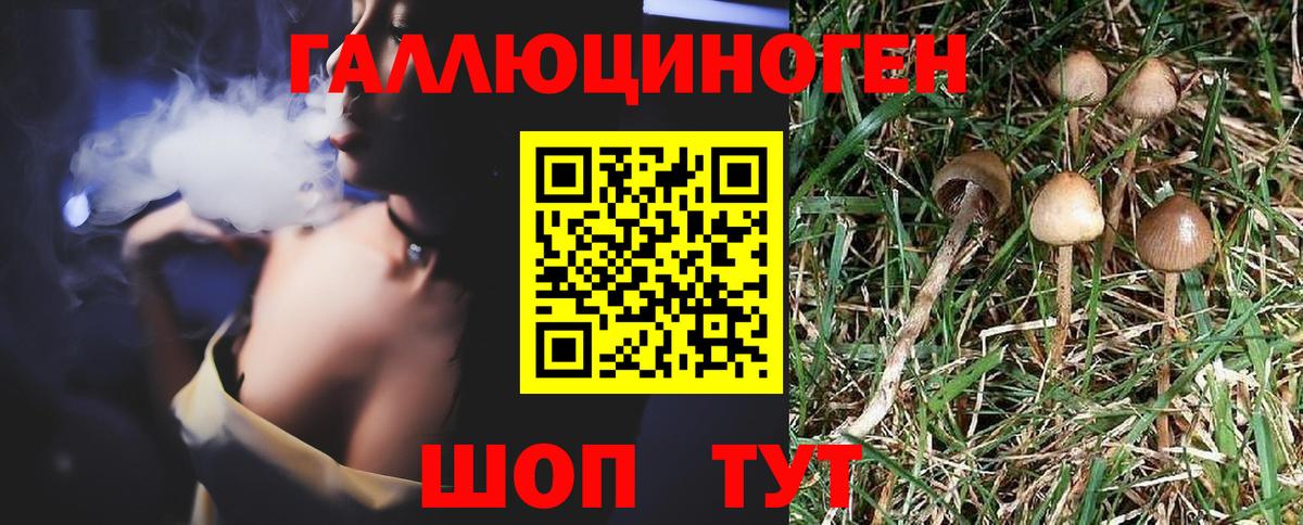 Галлюциногенные грибы Cubensis  Псилоцибиновые грибы Magic Shrooms  Вход с VPN  Белебей 